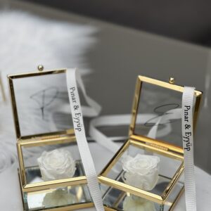 losse ringdoosje zonder inhoud